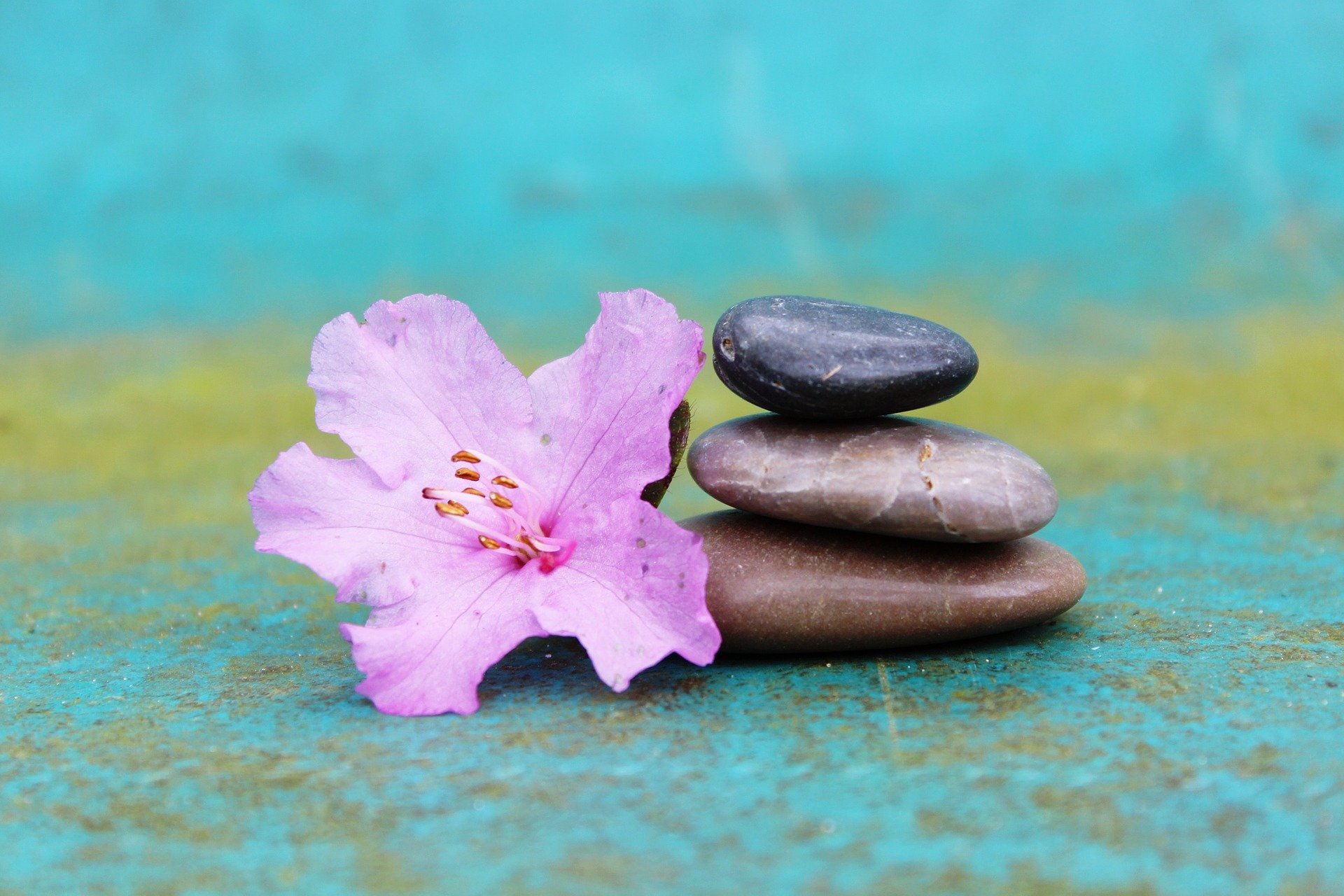 Meditasyon