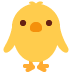 Front-facing Baby Chick